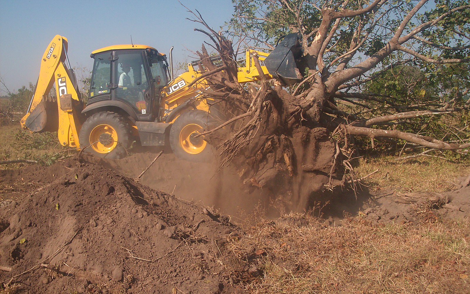 Limpeza de áreas